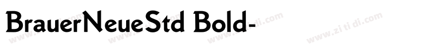 BrauerNeueStd Bold字体转换